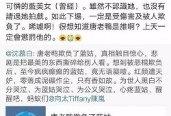 卓伟爆料蓝洁莹视频,真相揭秘引网友热议