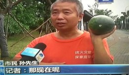 娱乐吃瓜热点事件视频,揭秘幕后真相，带你领略明星们的真实生活